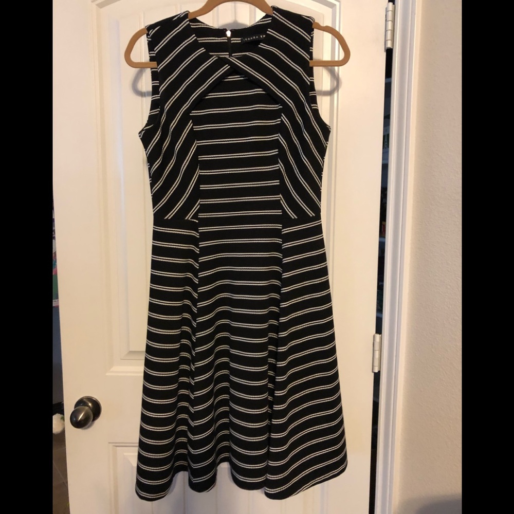 Navy and White Dress
